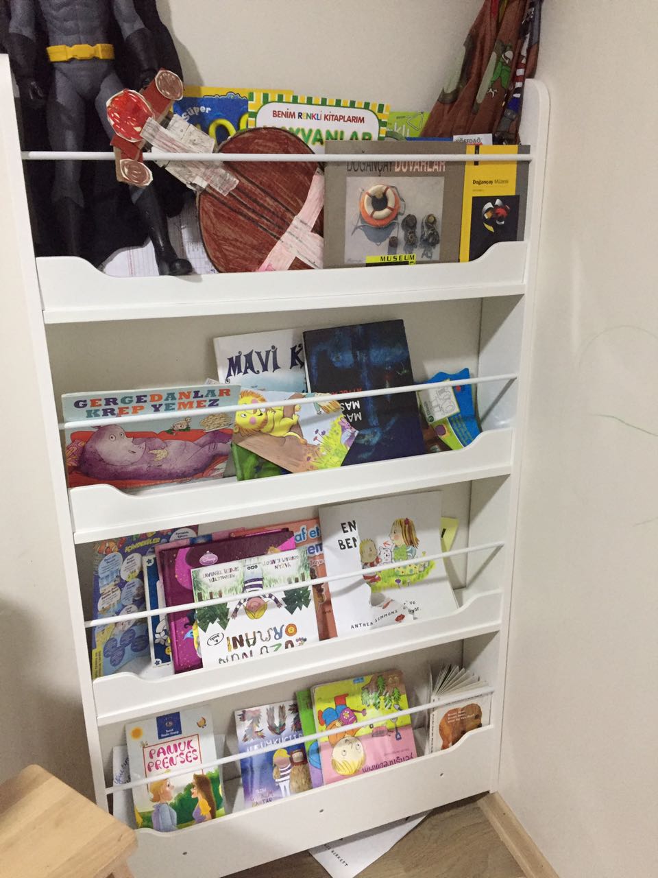 Maya Lake Montessori Kitaplık